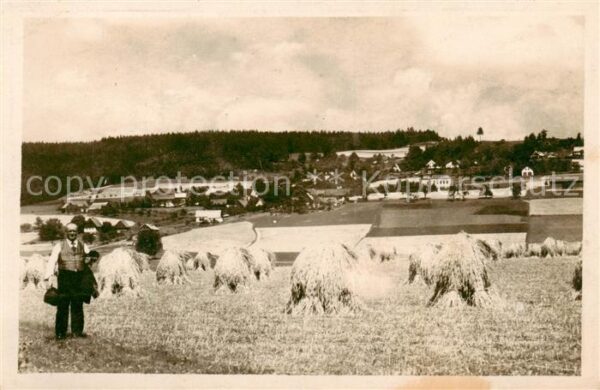 Bohdasin Nove Mesto nad Metuji CZ u Cerv Kostelce