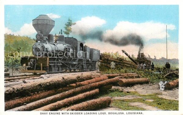 Bogalusa Louisiana USA Shay Engine with skidder loading logs