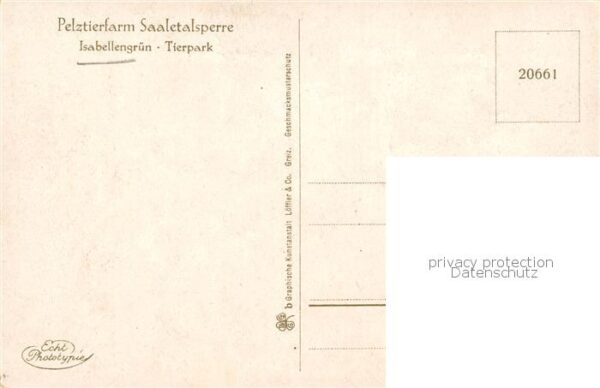 Isabellengruen Pelztierfarm Saaletalsperre Tierpark – Bild 2
