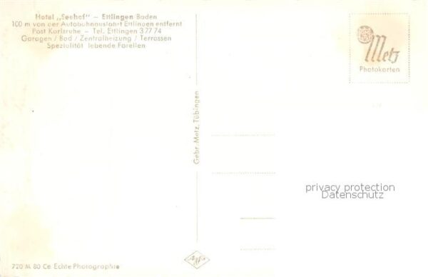 Ettlingen Hotel Seehof Landschaftspanorama – Bild 2