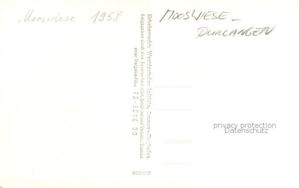 Mooswiese Durlangen Karl Haberecker Transportunternehmen – Bild 2