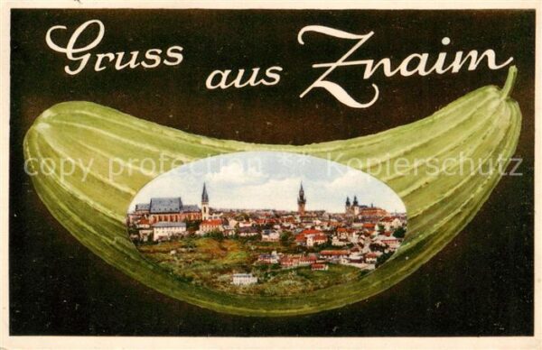 Znaim Znojmo CZ Panorama Gurke Kuenstlerkarte