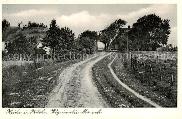 Heide Holstein Weg in die Marsch