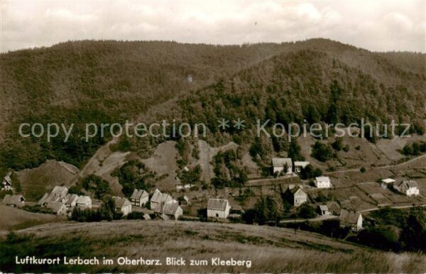 Lerbach Harz Panorama Luftkurort Blick zum Kleeberg
