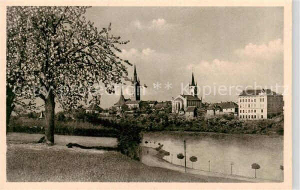 Tschaslau Caslav CZ Ansicht mit Kirche Baumbluete