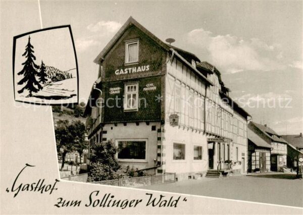 Lauenberg Solling Gasthaus zum Sollinger Wald
