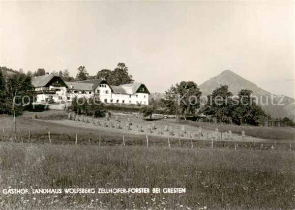 Gresten Niederoesterreich AT Gasthof Landhaus Wolfsberg Zellhofer Forster