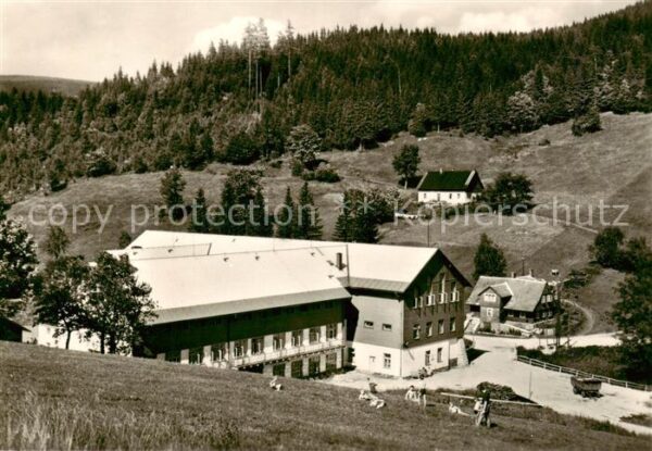 Harrachov Harrachsdorf CZ Telovychovne stredisko CSTV Ryzoviste