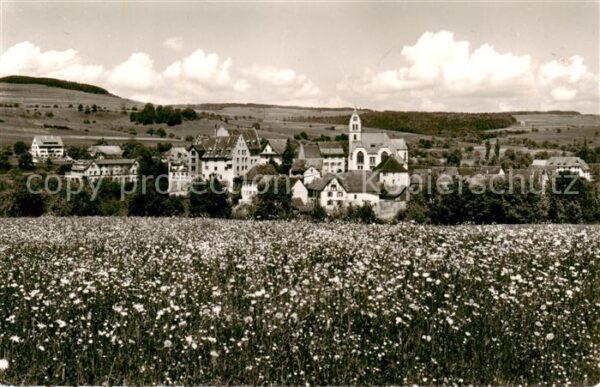 Blumenfeld Panorama Blick ueber Blumenwiese