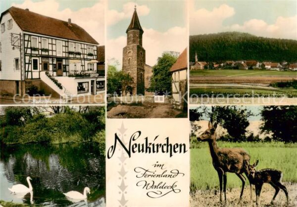 Neukirchen Waldeck Pension Lindt Kirche Panorama Wild Schwanenteich