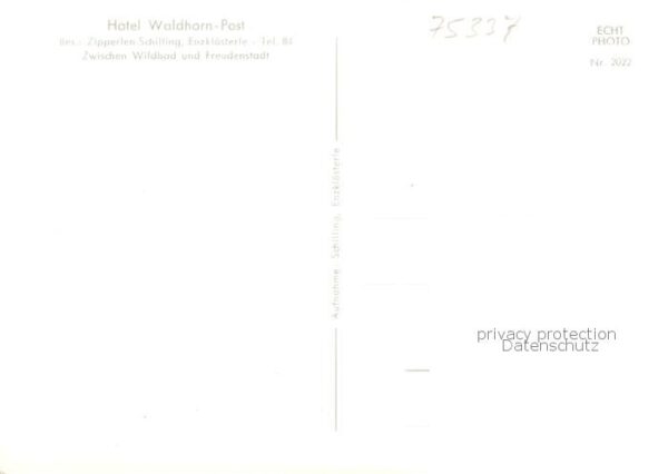 Enzkloesterle Hotel Waldhorn – Bild 2