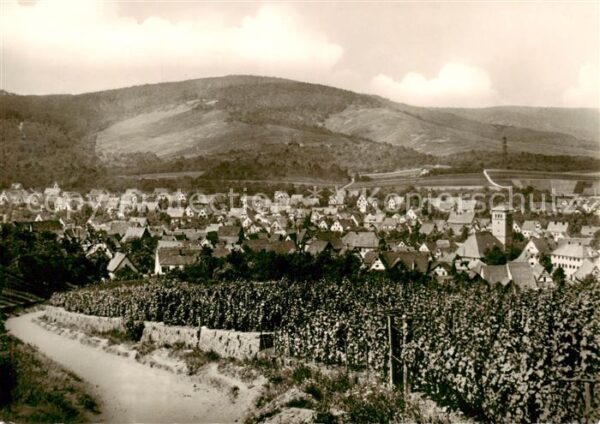 Kernen Remstal Stadtpanorama Weinberge