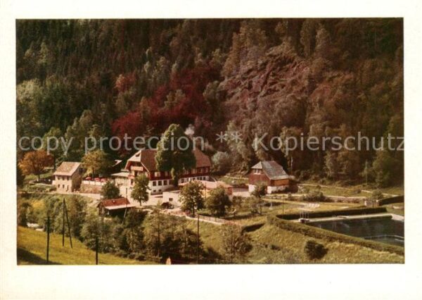 Todtnau Hotel Waldeck im Schwarzwald