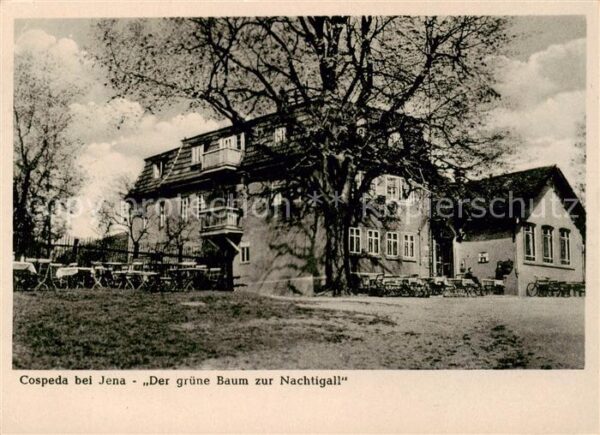 Cospeda Der gruene Baum zur Nachtigall