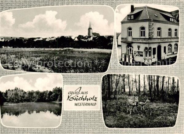 Buchholz  Westerwald Kirche Gasthof zur Post Teich Rotwild
