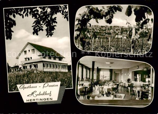 Hertingen Bad Bellingen Gasthaus Pension Hebelhof Gastraum Reblandschaft