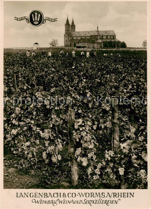 Worms Rhein Langenbach et Co Wein und Sektkellereien Liebfrauenstift