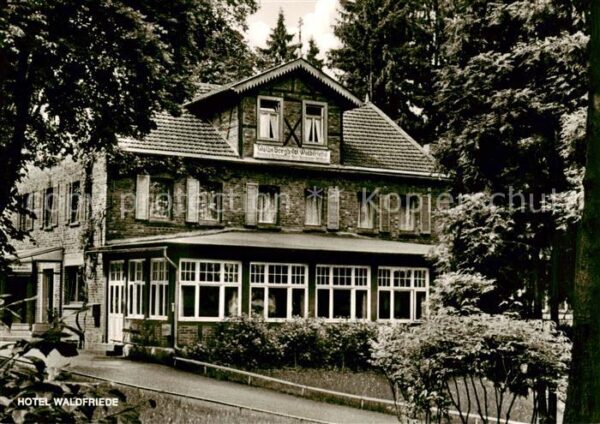 Waldfriede Soonwald Seesbach Hotel Waldfriede Wald und Berghotel