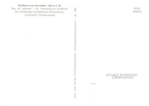 Tennenbronn Gasthaus Auerbach – Bild 2
