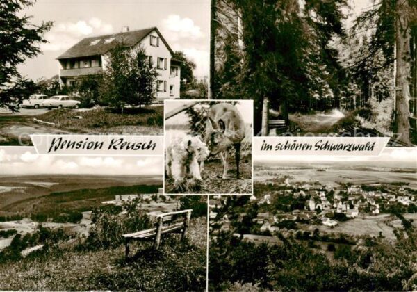 Egenhausen Wuerttemberg Pension Reusch Waldweg Panorama