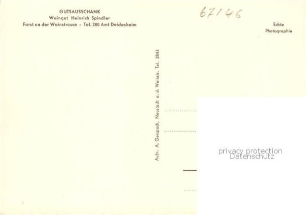 Deidesheim Gutsausschank Gaststube – Bild 2