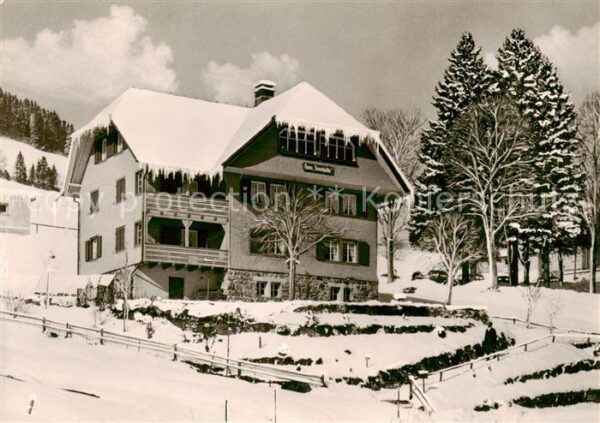 Todtnauberg Haus Sonnhalde