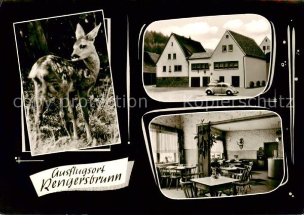 Rengersbrunn Rehkitz Gasthaus Marienborn Gaststube