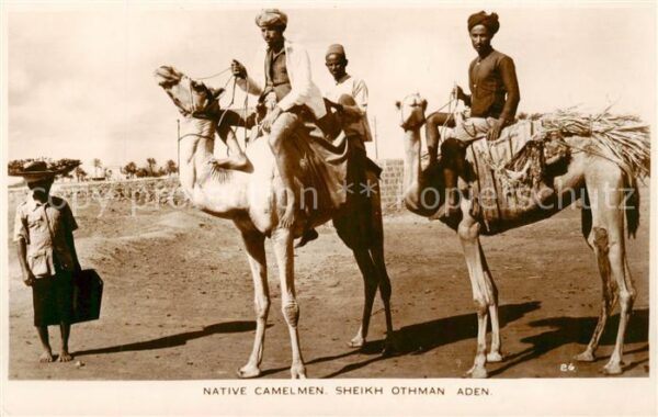 Aden Jemen Native Camelmen Sheikh Othman