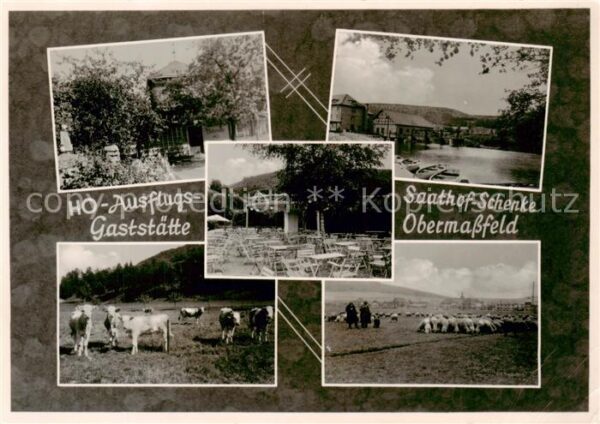 Obermassfeld-Grimmenthal HO-Ausflugsgaststaette Saathof-Schenke Viehweide Kuehe