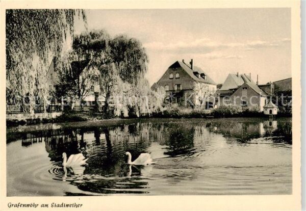 Grafenwoehr Am Stadtweiher Schwaene