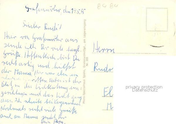 Grafenwoehr Am Stadtweiher Schwaene – Bild 2