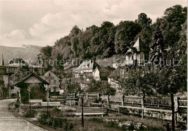 Schwarzburg Thueringer Wald Teilansicht
