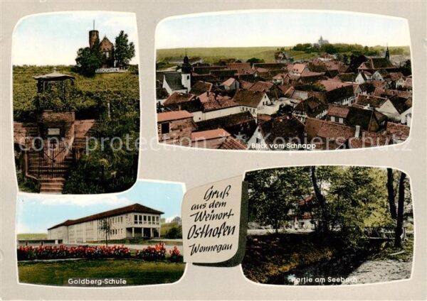 Osthofen Rheinhessen Leckzapfen Panorama Blick vom Schnapp Goldberg-Schule Parti