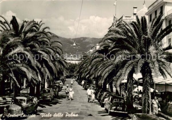 Sestri Levante IT Viale delle Palme