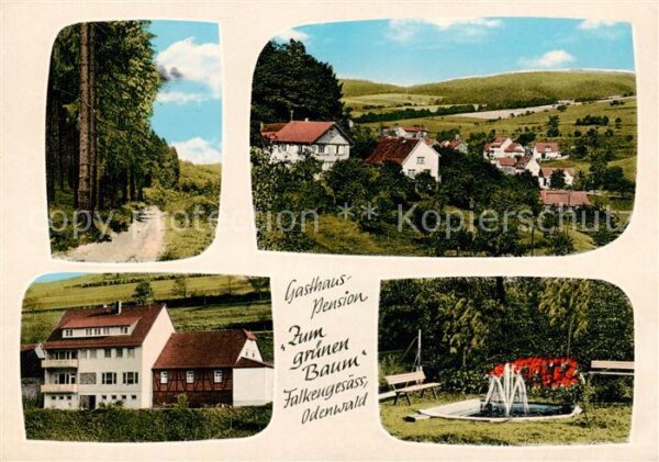 Falkengesaess Odenwald Panorama Waldpartie Gasthaus Pension Zum gruenen Baum