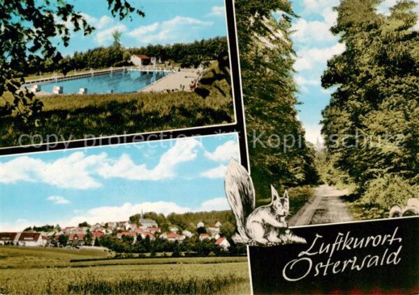 Osterwald  Elze (Kr.Hameln) Weserbergland Freibad Waldpartie Panorama Eichhoernc