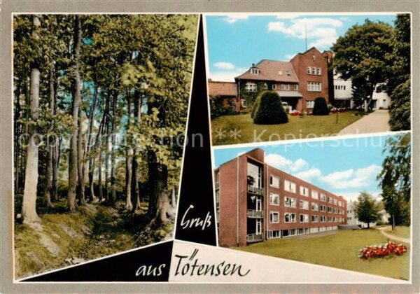Toetensen Waldpartie Teilansichten