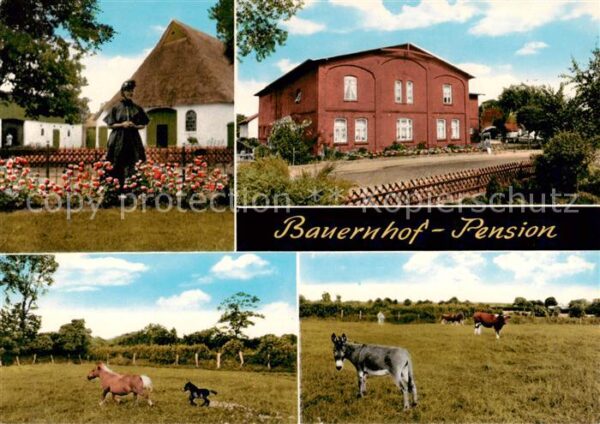 Huje Bauernhaus Pferdekoppel Esel Kuehe Trachten