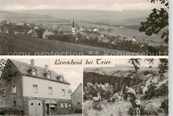 Lorscheid Trier Panorama Gasthaus Kaufhaus Blau Landschaft Wild