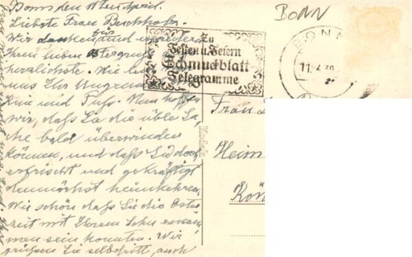 Bonn Rhein Landschaftspanorama – Bild 2