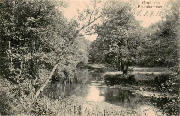 Eisenhammer  Skiekierzyn Smolnik PL Natur Partie am Fluss