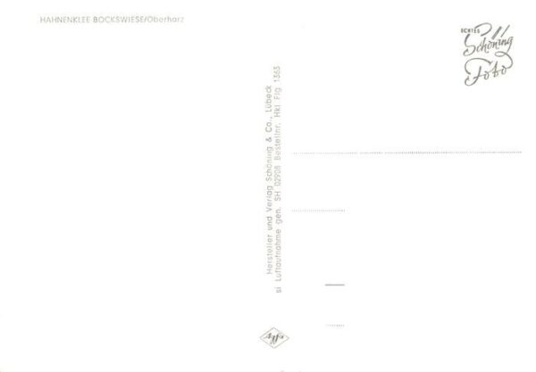 Hahnenklee-Bockswiese Harz Fliegeraufnahme – Bild 2