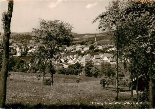Freyung Ansicht vom Waldrand aus