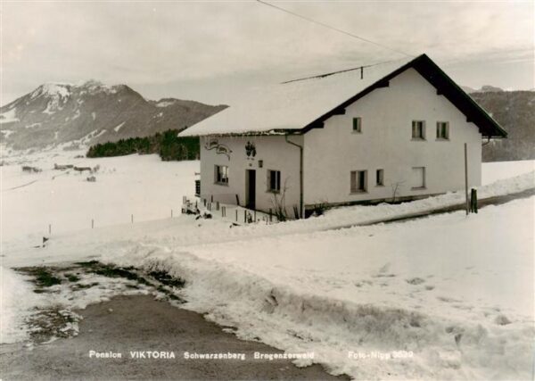 Schwarzenberg Vorarlberg Pension Viktoria im Winter