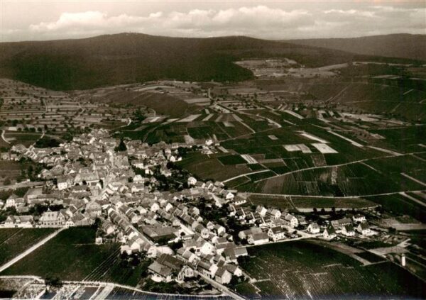 Hallgarten Rheingau Fliegeraufnahme