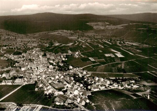 Hallgarten Rheingau Fliegeraufnahme