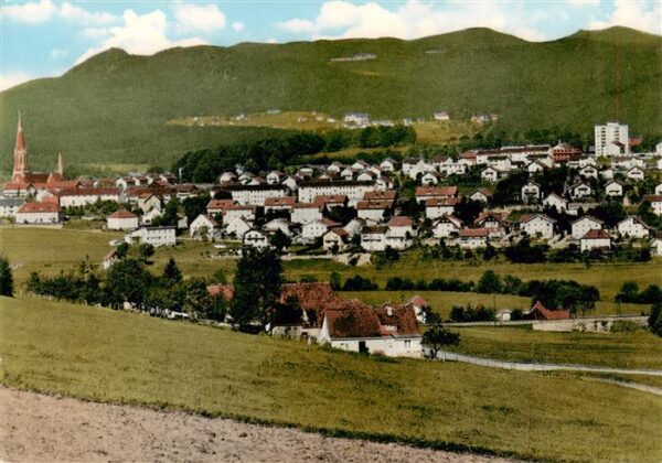 Zwiesel  Niederbayern Panorama