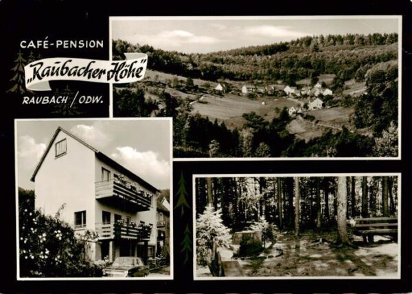 Raubach Odenwald Cafe Pension Raubacher Hoehe Panorama Waldpartie