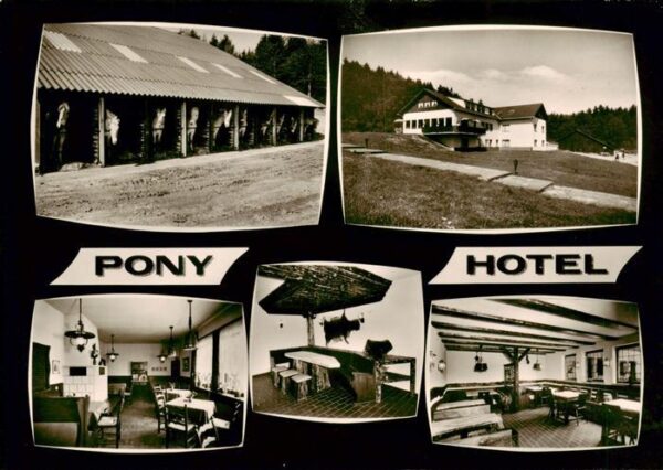 Hammelbach Grasellenbach Pony Hotel Gassbachhof Stall Gastraeume