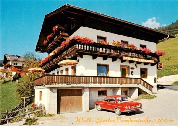 Wald Pitztal Gasthof Gretlhof Gerlos Bundesstrasse